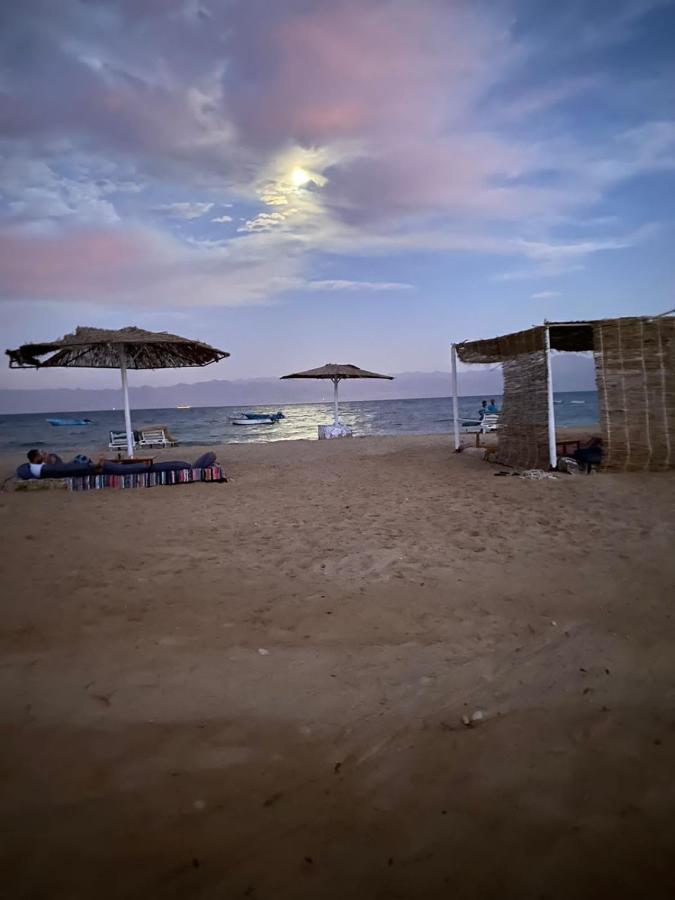 מלון Nuweiba Oasis מראה חיצוני תמונה
