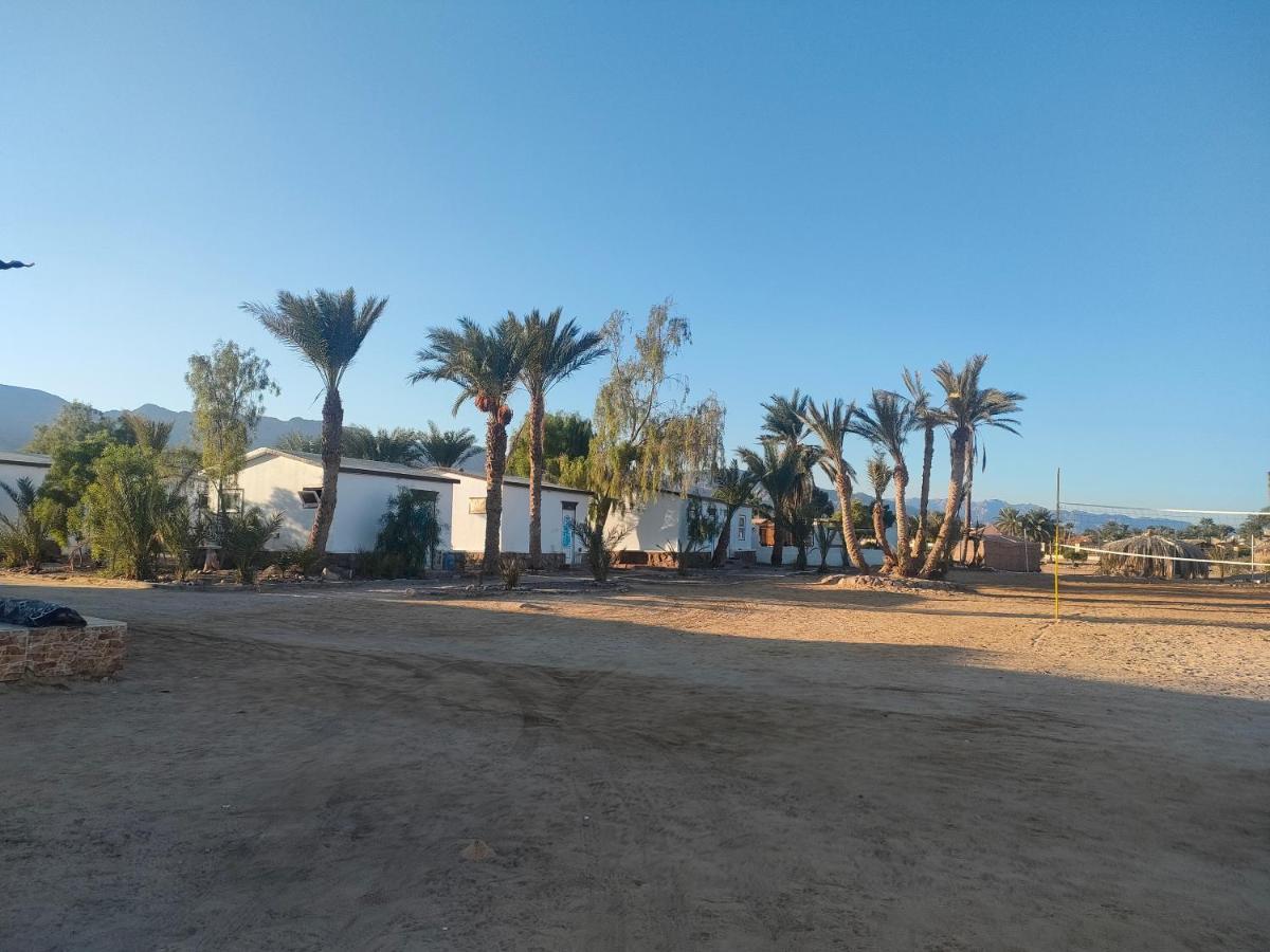מלון Nuweiba Oasis מראה חיצוני תמונה