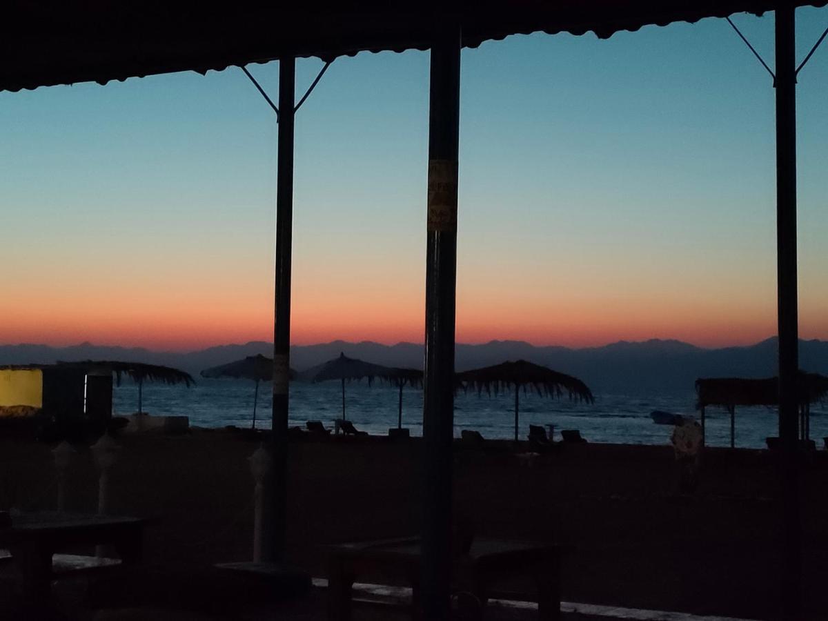 מלון Nuweiba Oasis מראה חיצוני תמונה