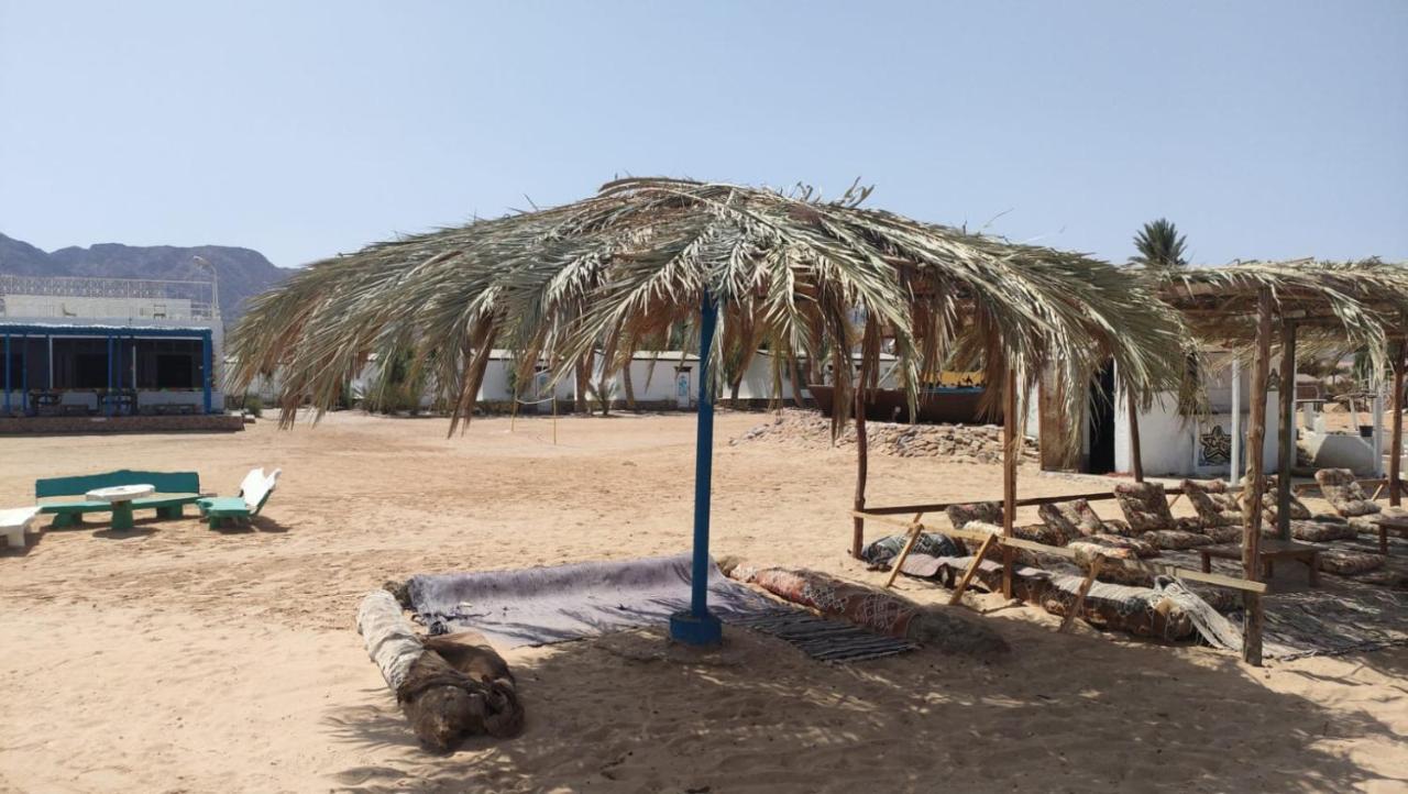 מלון Nuweiba Oasis מראה חיצוני תמונה