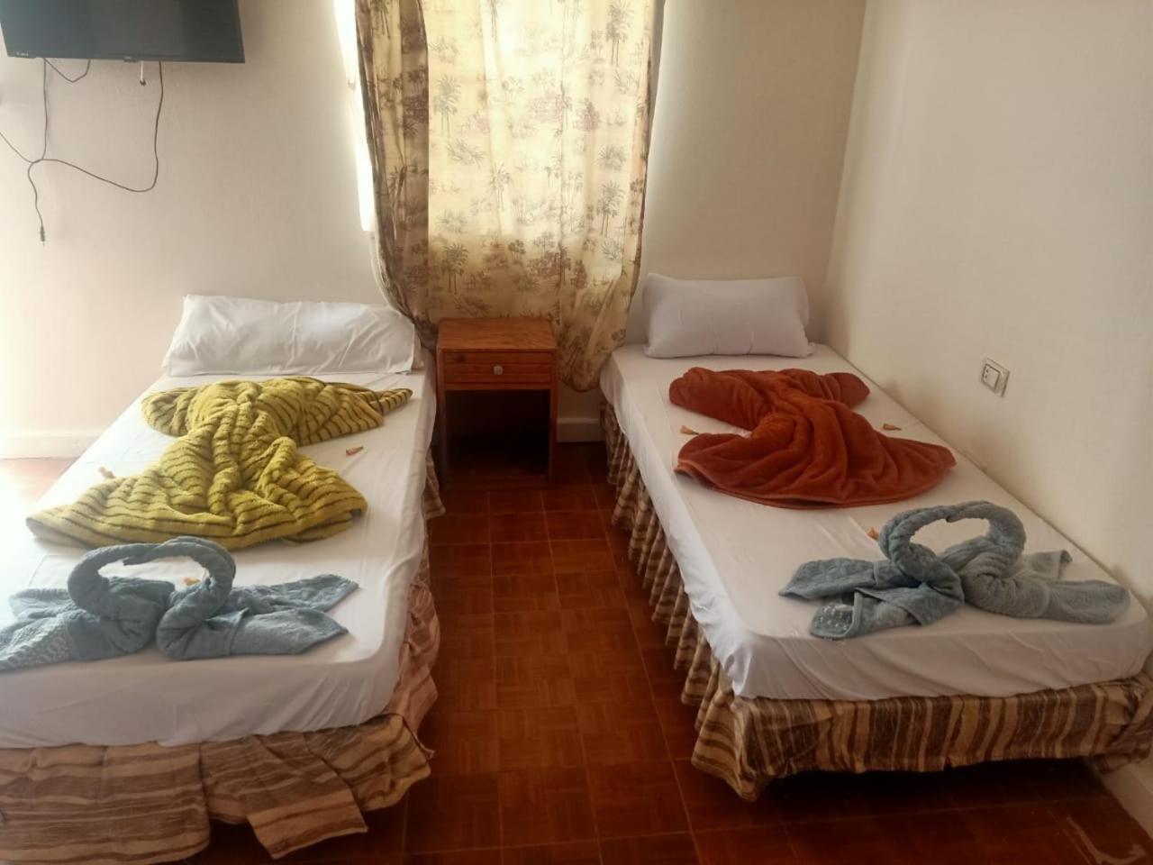 מלון Nuweiba Oasis חדר תמונה