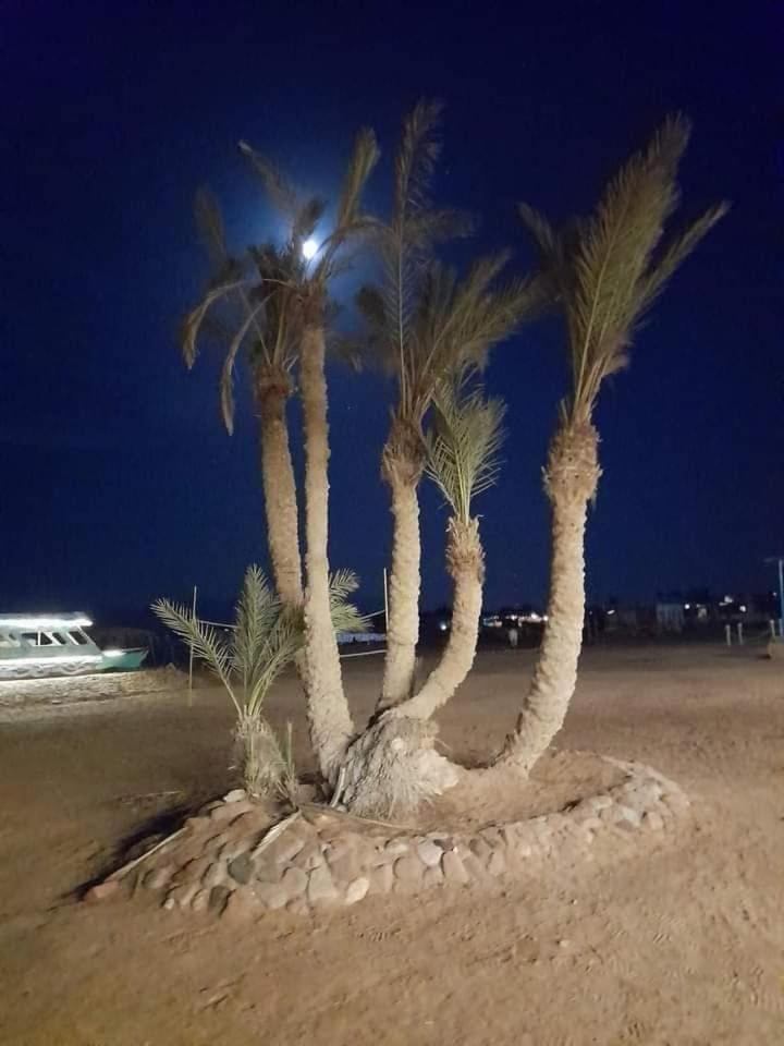 מלון Nuweiba Oasis מראה חיצוני תמונה